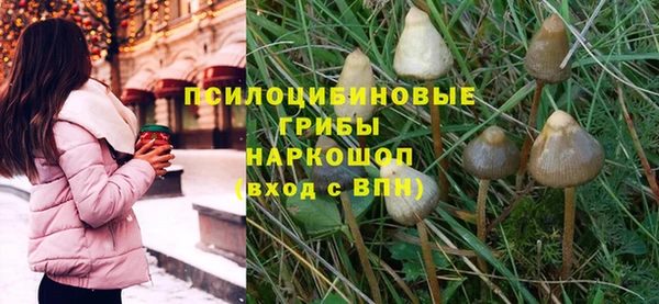 ALPHA PVP Алзамай