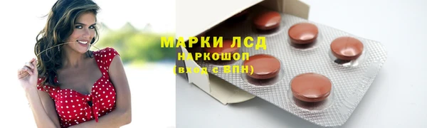 стаф Алексеевка