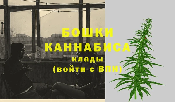 ГАЛЛЮЦИНОГЕННЫЕ ГРИБЫ Абаза
