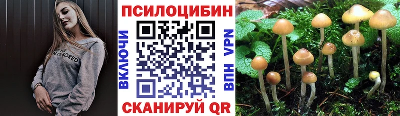 мега рабочий сайт  Тотьма  Галлюциногенные грибы мухоморы 